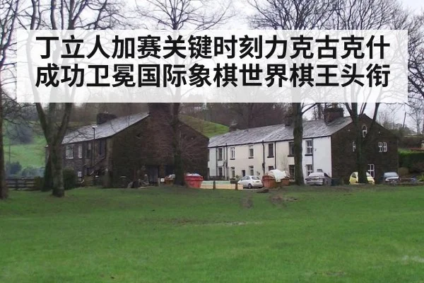 丁立人加赛关键时刻力克古克什 成功卫冕国际象棋世界棋王头衔